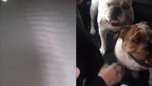 Bree Essrig - Video Leaks #34