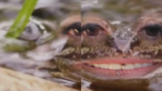Cajun Goblin - Video Leaks #109
