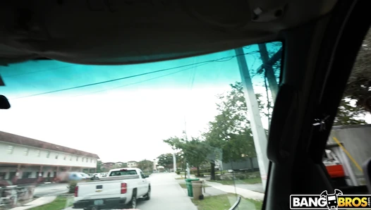 shrooms_q - Shrooms Q [BangBus] (Shrooms Blooms on the BangBus 01 24 2024)bangbus 24 01 24 shrooms q 4k