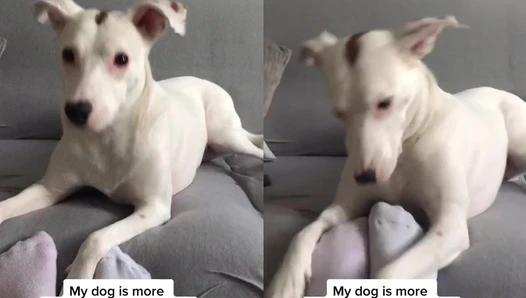 Ziyamoranowoskjij - Video Leaks