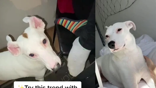 Ziyamoranowoskjij - Video Leaks #8