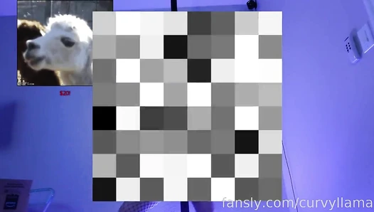 Curvyllama - 807565032823996416 preview