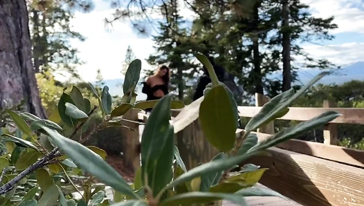 Rachel Cook - WTVR Issue 3 Vlog Behind The Scenes Tahoe