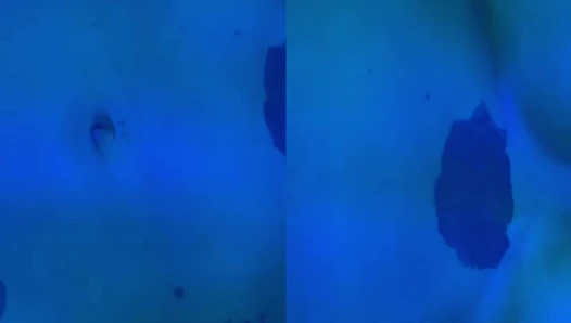 Elisa Albrich - Video Leaks #47