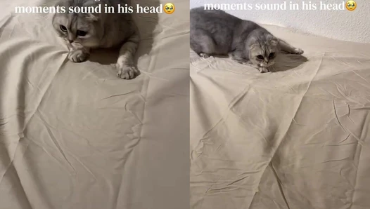 Kathys Dreams - Video Leaks #92