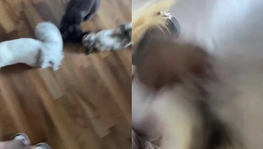 Zoeywgr - Video Leaks  #38