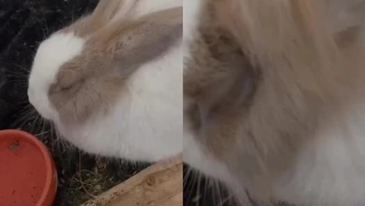 Nele Sommer - Video Leaks  #102