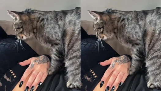 Railey Diesel - Video Leaks #334