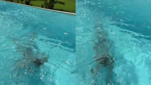diewildeveganerin - Video Leaks #1384