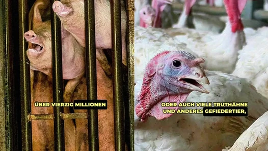 diewildeveganerin - Video Leaks #1409