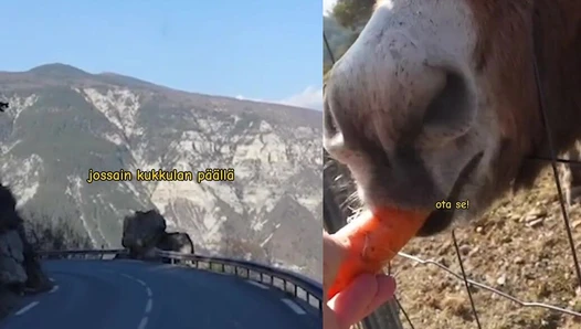Nina Laitiala - Video Leaks #312