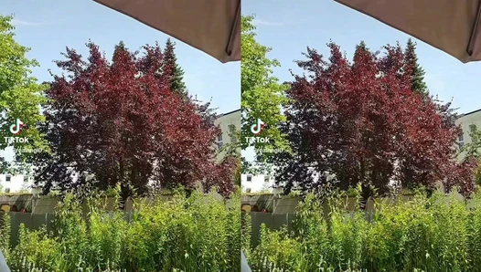 realangi0 - Video Leaks #4