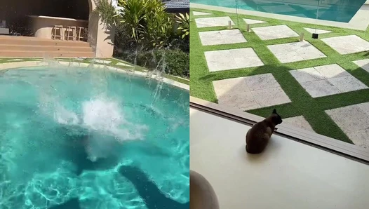 Mikaela Testa - Video Leaks #271