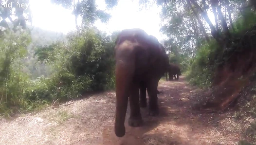 Sidney Prescott - Video Leaks #17