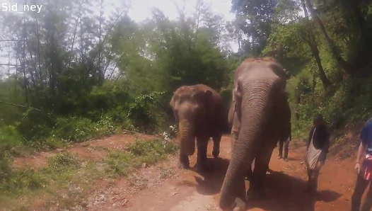 Sidney Prescott - Video Leaks #21