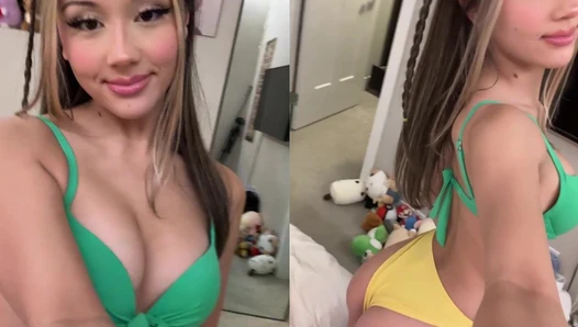 kittiesbitties - MidnightblueCluelessIndochinahogdeer