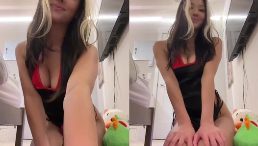 kittiesbitties - ExoticFabulousJackal