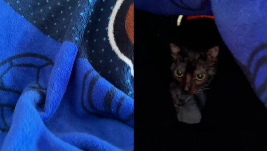 Catzilla - Video Leaks #62