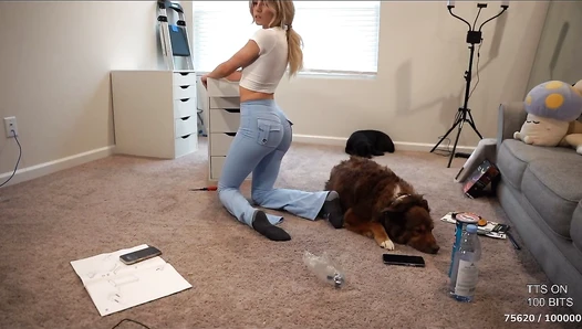 Kattpaccino - RecordIt-1722286624