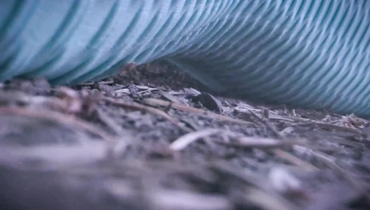 saraloverays - sara in joggers