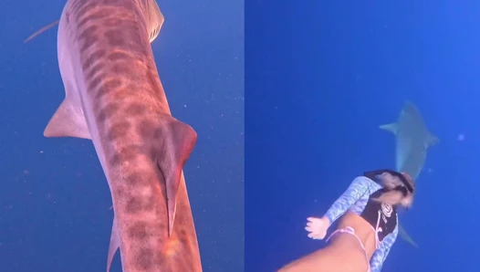 Kayci Kaylani - Video Leaks #40