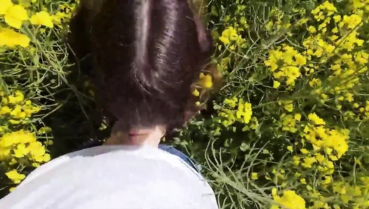 Layla von Hohensee - – Pferdemädchen in Not – Hat er meine ausgenutzt