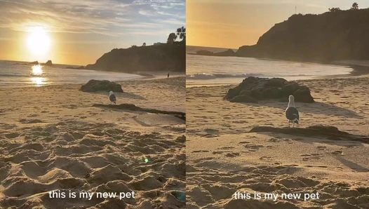 Lea Martinez - masstiktok leaamartinezz So pretty V3k5VGQb