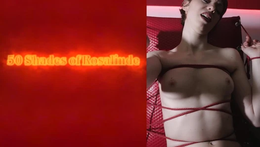 diewildeveganerin - 50 Shades of Rosalinde