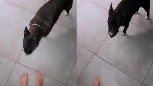 asmrjanina - Video Leaks #58